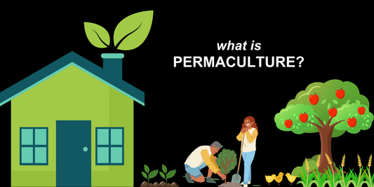 About Permaculture