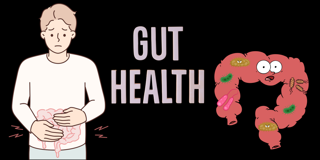 Gut Health